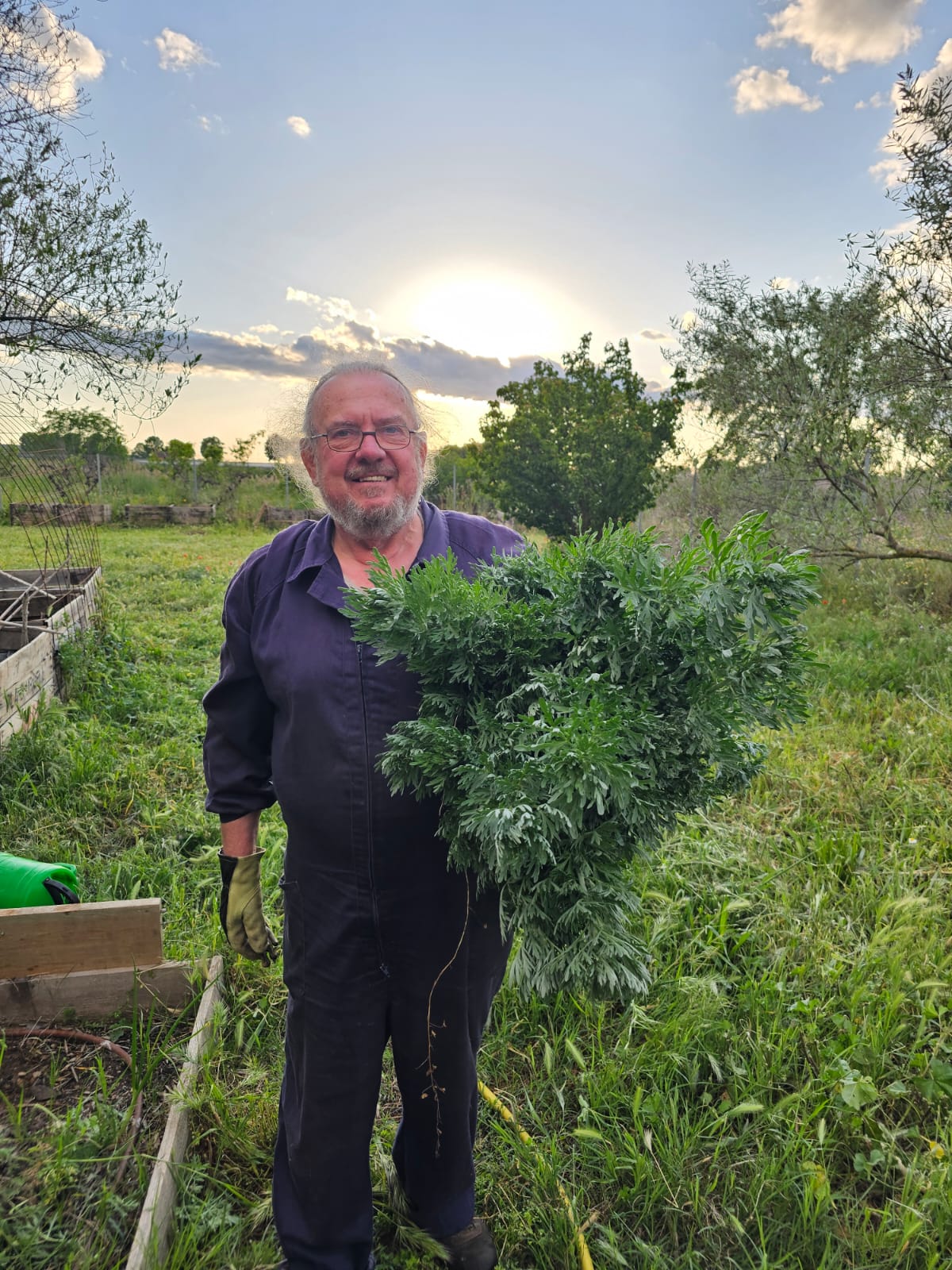 En la huerta — vida cotidiana